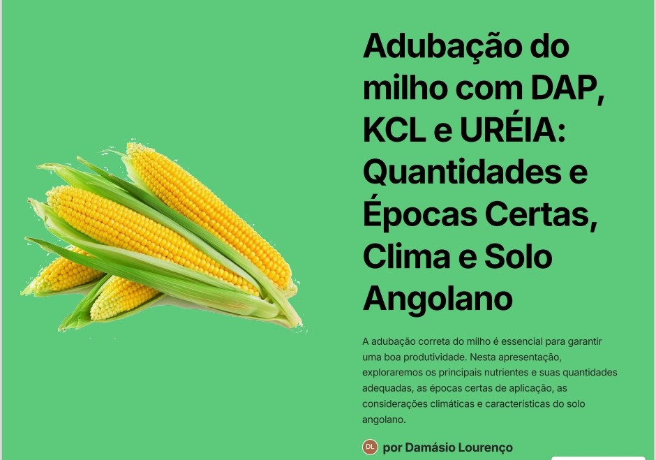 adubacao_do_milho_com_dap_kcl_e_ureia_quantidades_e_epocas_certas_clima_e_solo_angolano_11366