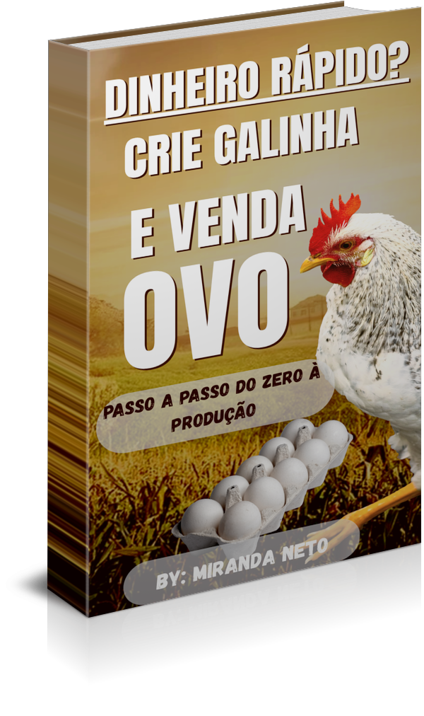 dinheiro_rapido_crie_galinha_e_venda_ovos_14434