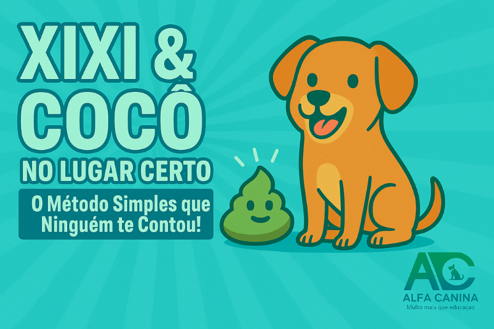 xixi_no_lugar_certo_14839