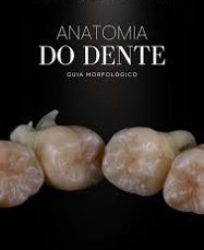 anatomia_dos_dentes_superiores_15107