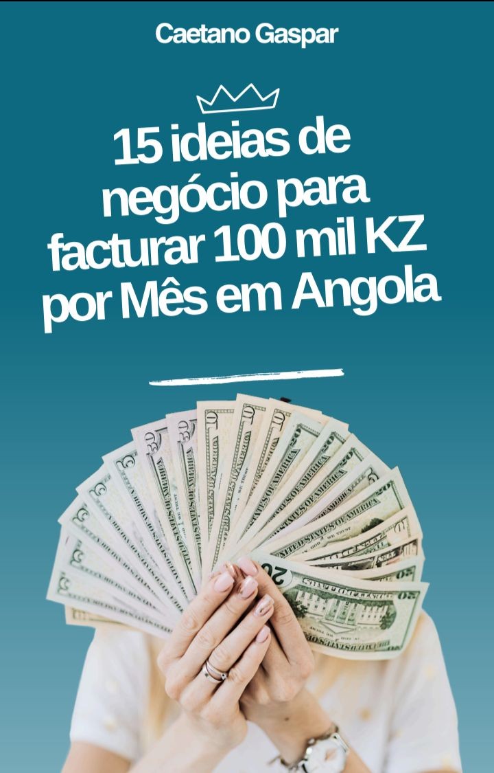 15_ideias_de_negocios_para_facturar_100_mil_kz_por_mes_em_angola__16507