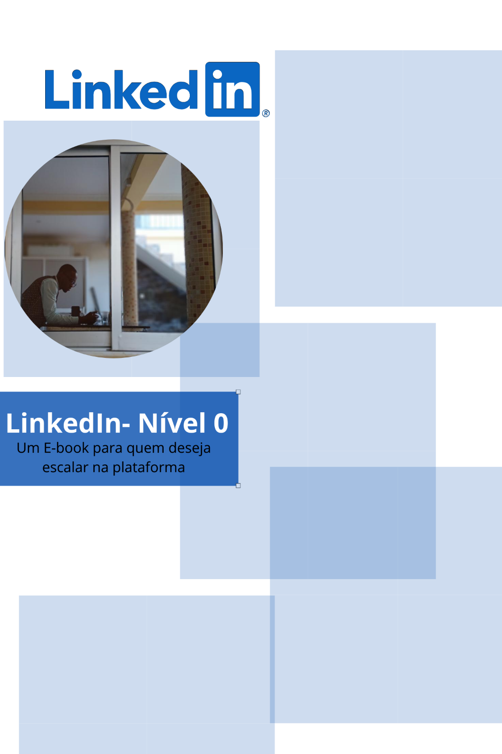 linkedin_nivel_0_17985