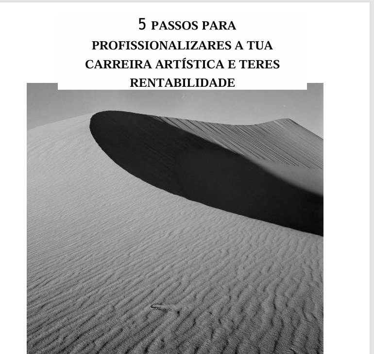 5_passo_para_profissionalizares_a_tua_carreira_artistica__teres_rentabilidade_18072