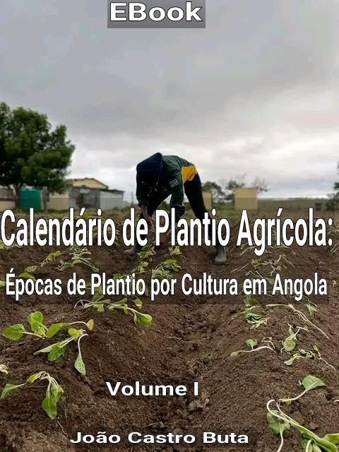 calendario_de_plantio_agricola_epocas_de_plantio_por_culturas_em_angola_19000