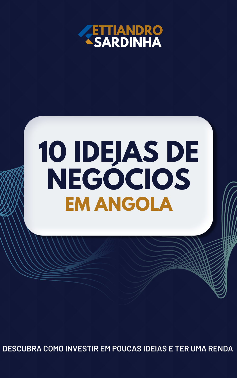 10_ideas_de_negocios_em_angola_8374